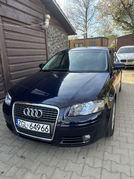 Audi A3 8P 2.0TDI Bluetooth/DSG/Klimatyzacja/lopatki