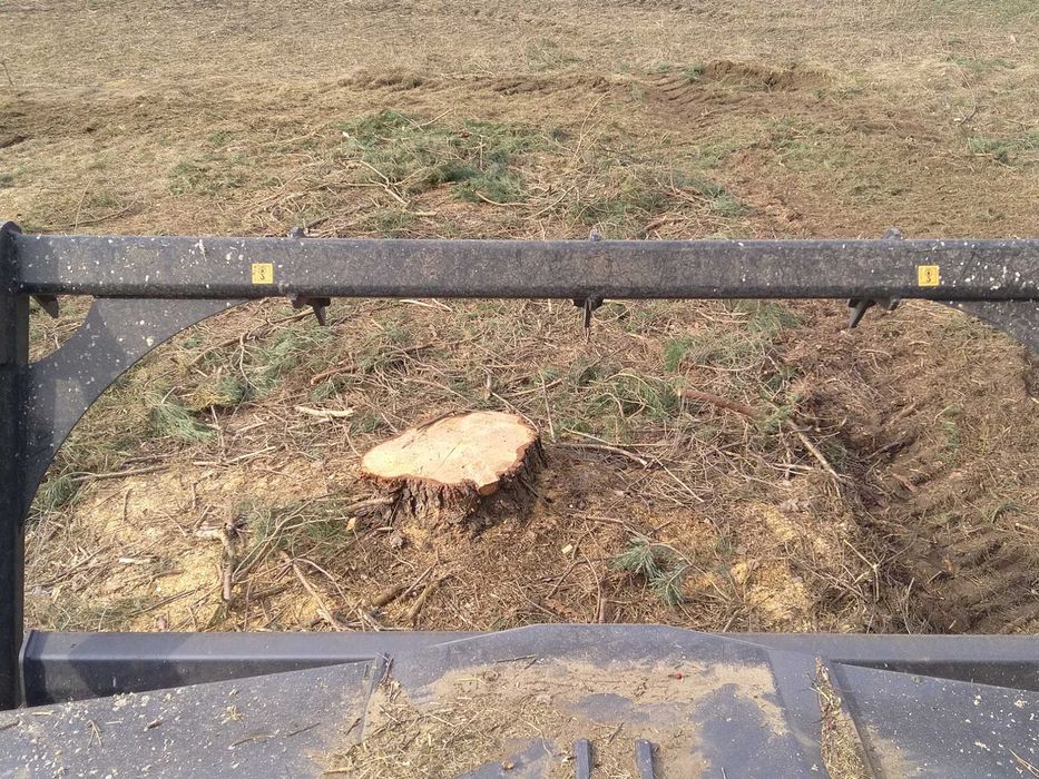 Mulczowanie Mulczer leśny Wgłębny Karczowanie Czyszczenie Wycinka