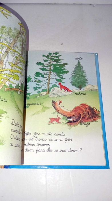 Um Passeio pela Floresta - pequena enciclopédia