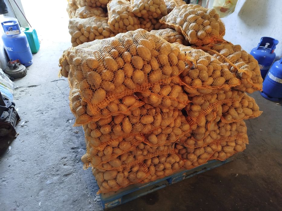 Ziemniaki Jadalne hurt detal dowóz