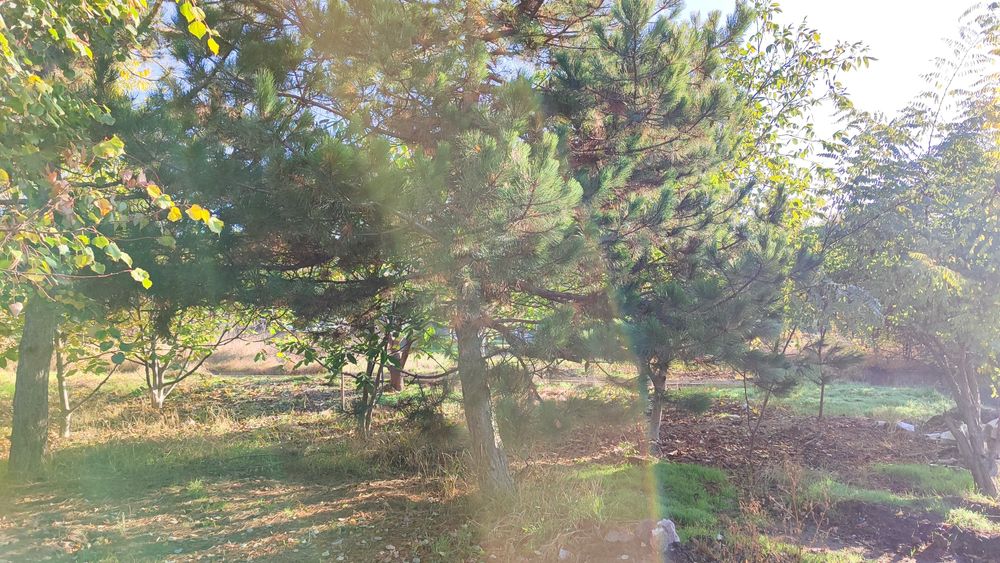 Продам компактний будинок