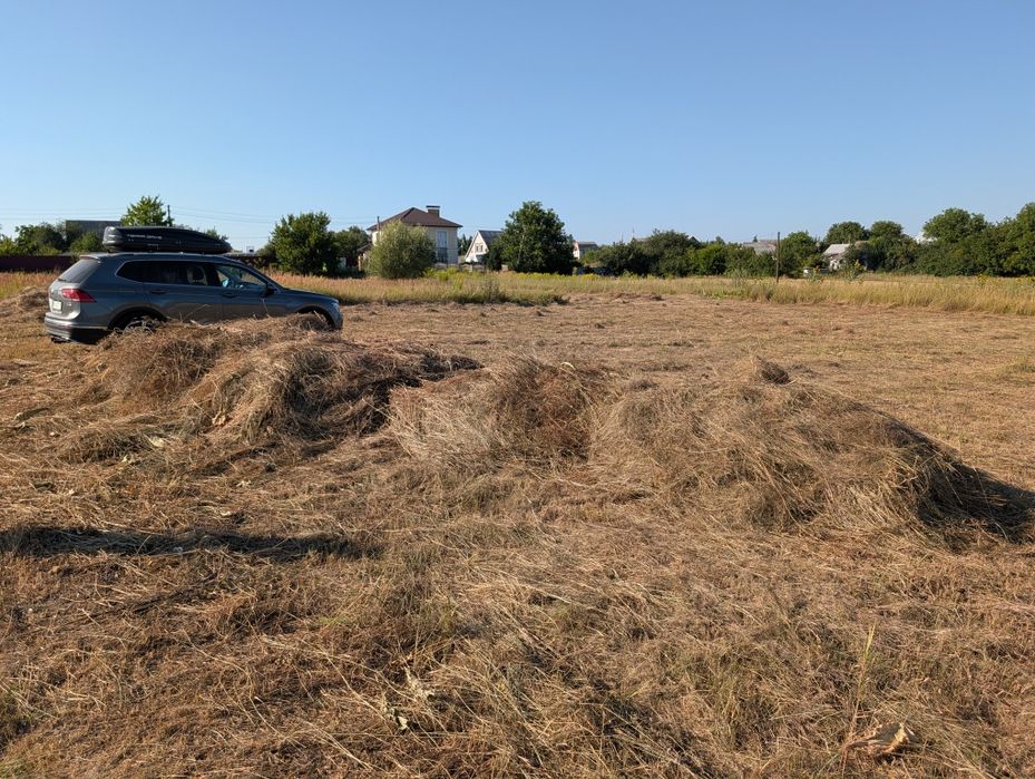 Сіно безкоштовно, Мотовилівка