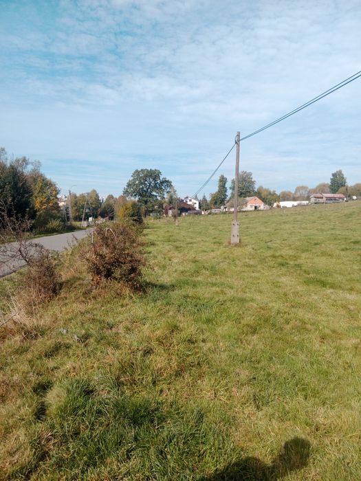 Działka 15ar z MPZP w Bieszczadach w Łodynie koło Ustrzyk Dolnych przy drodze asfaltowej powiatowej - Widok 4