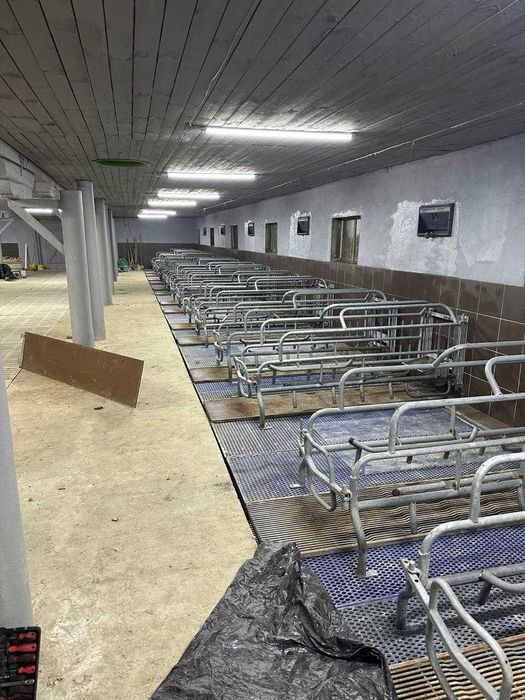 Ферма, господарські будівлі та споруди