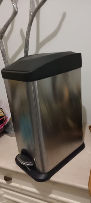 Caixote lixo orgânico. Gato Preto