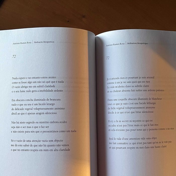 António Ramos Rosa / Robert Bréchon - Meditações Metapoéticas / Méditations Metapoétiques (1.ª edição, 2003)