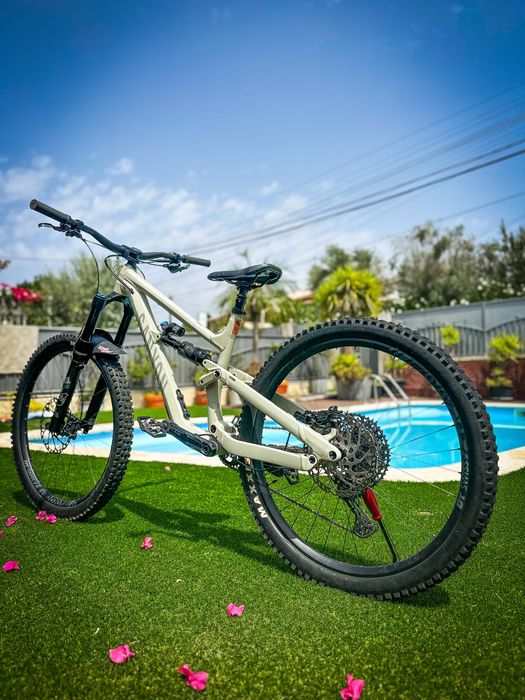 Canyon Torque Mullet 7