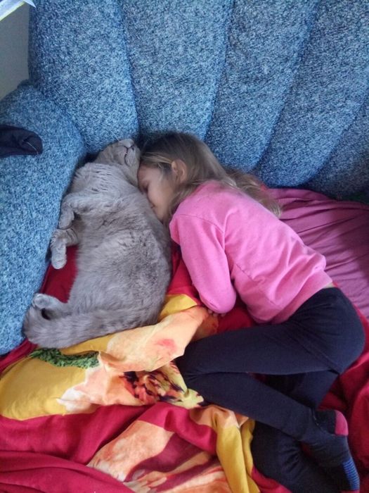 Красивый шотландец (брит.) ждёт в гости подружку. Недорого. Междунар.