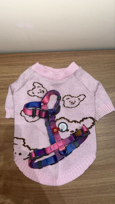 Шлея waudog + вʼязаний светр з ведмедиками