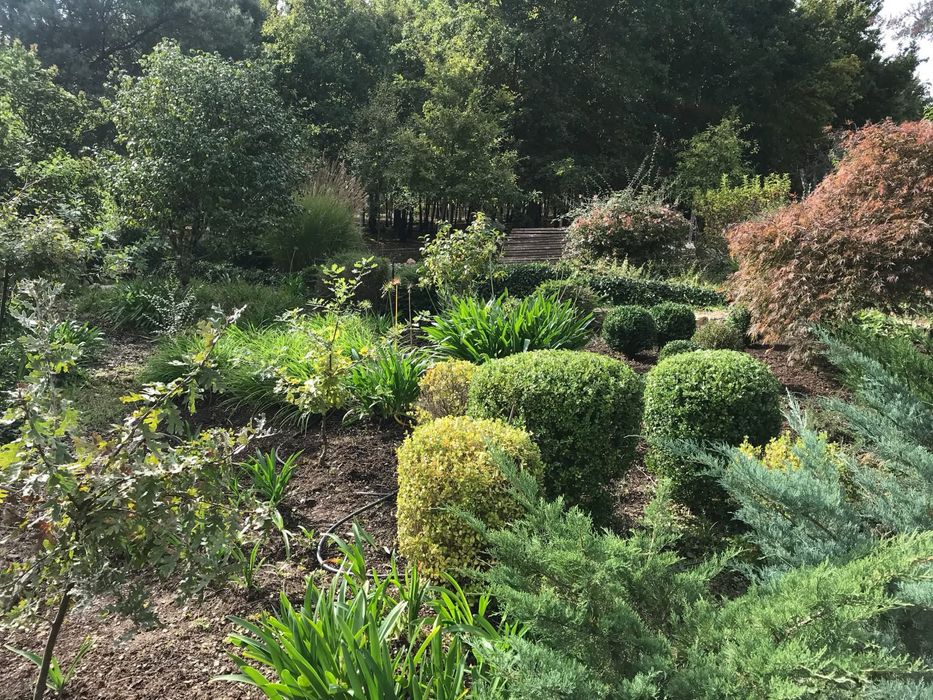 Manutenção de Espaços Verdes  Coja/Arganil