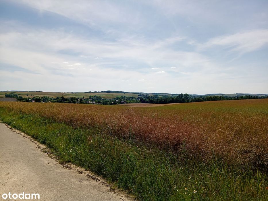 Działka budowlana 1200m² z mediami i dojazdem - Widok 2