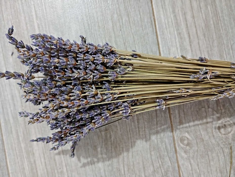 Ramo de lavanda seca natural