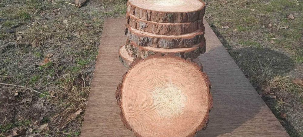 P. Marta, plastry drewna, 5 sztuk, 20-25 cm, krążki, podkładki