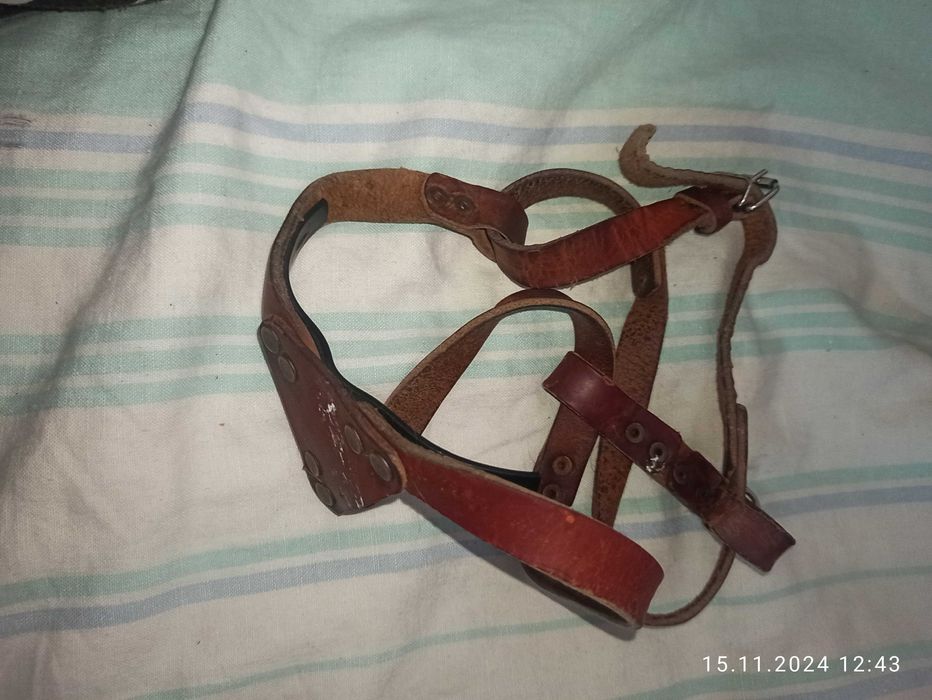 клетки с колесом для  хомячков, поводки, шлея, ошейник для собак, кота