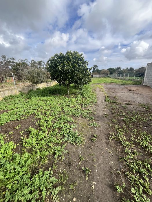 Moradia t2 + 1 carvide