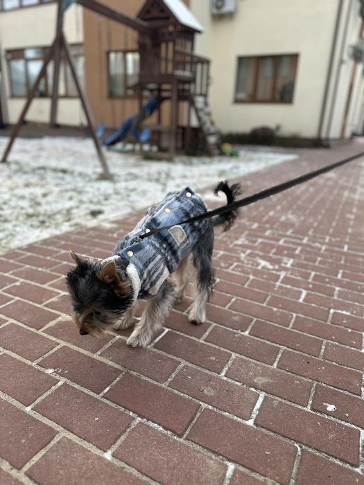 Фірмова куртка River Island для собак