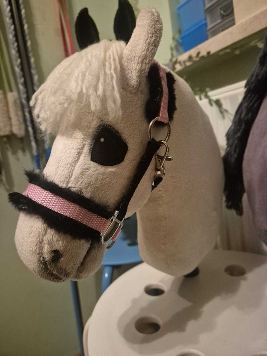 Sprzedam zestaw sprzętu dla hobby horse