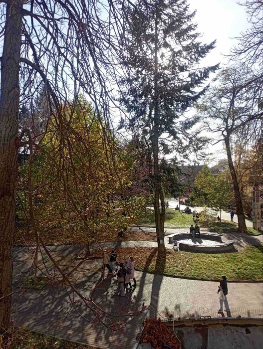 Здається 1-к.квартира по вул. Грушевського в центрі міста,читайте опис