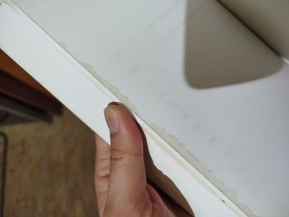 Konfabulator Remigiusz Ryziński