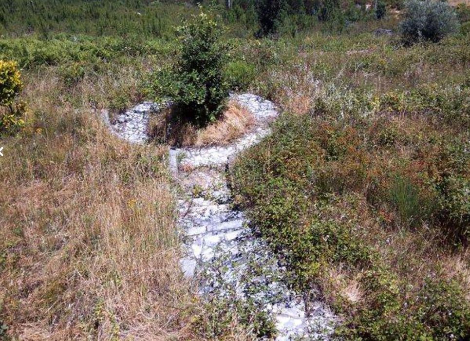 Terreno em Montes da Senhora - Castelo Branco - 6850 m2