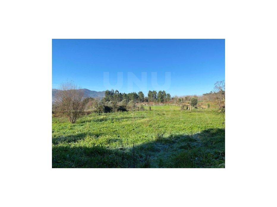 Plot of Land for Cultivation