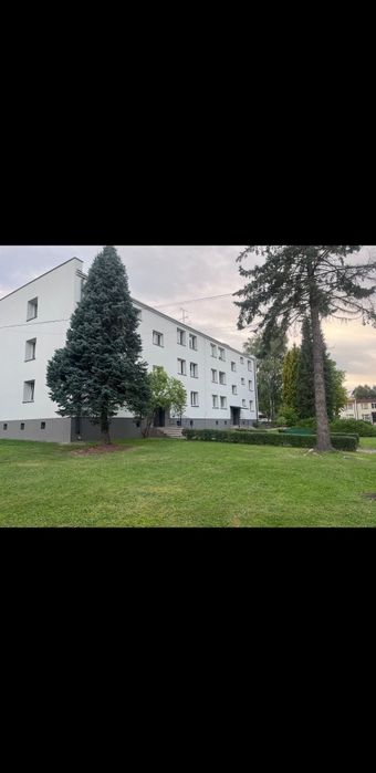 Wynajmę mieszkanie 55 metrow