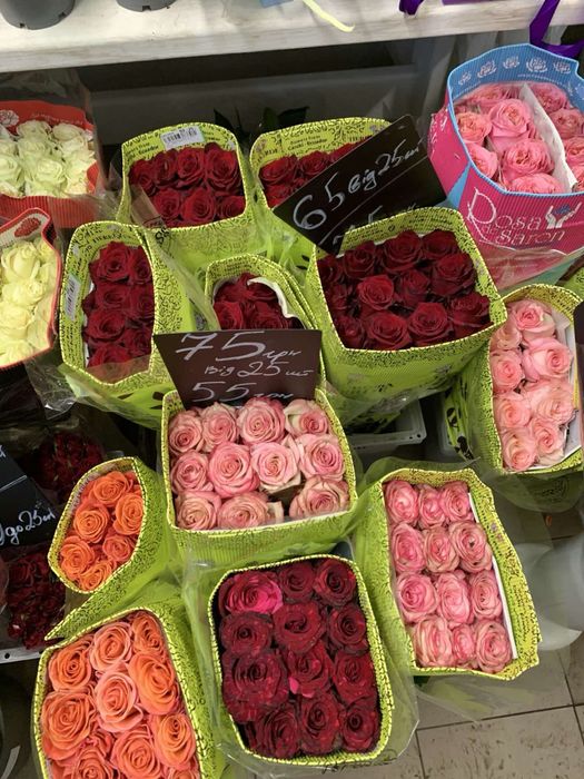 Троянди розы великий вибір