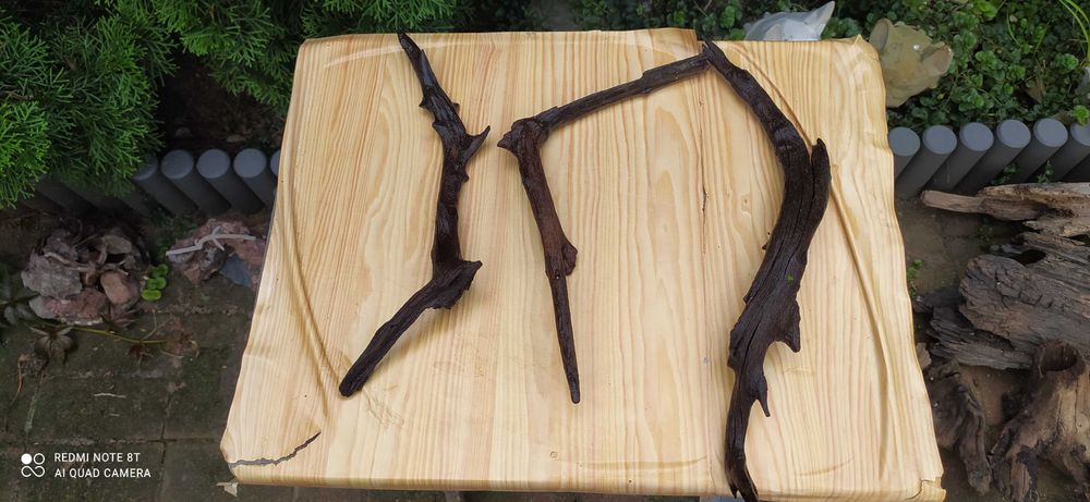 Trzy korzenie-40,31,31 cm