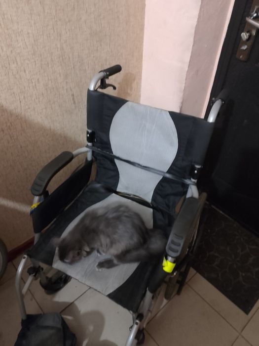 Коляска взрослая