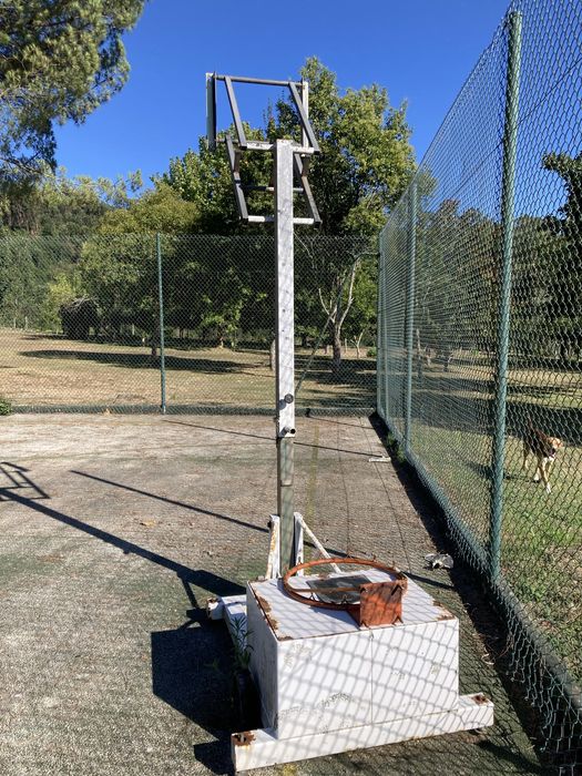 Vendo tabela de Basket