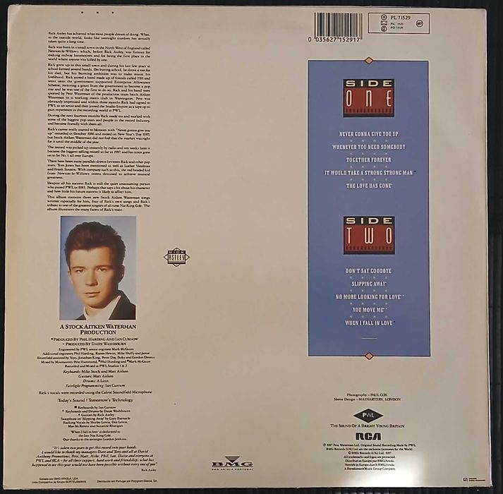 Rick Astley - Whenever You Need Somebody (Vinil / LP)
