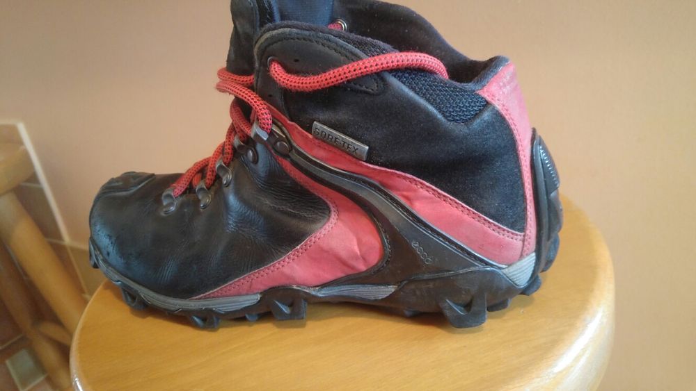 Buty ecco