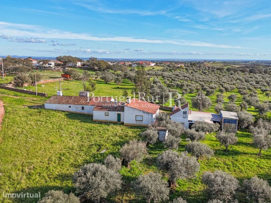 Monte com 4.400 m2 de terreno e habitação T3