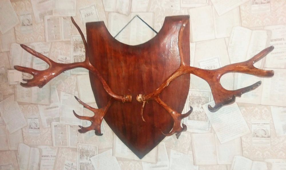 Рога оленя на щите