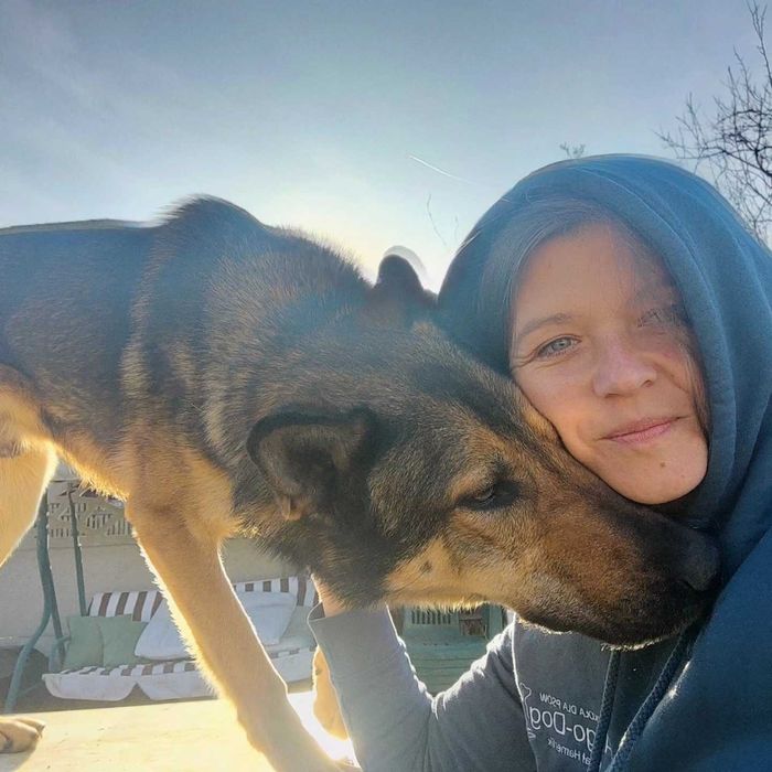 Grey wciąż szuka domu.