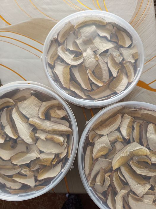 Продам різні види грибів