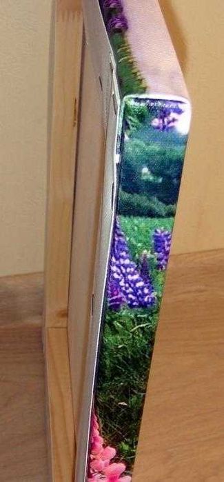 Картина из Фото на холсте от 160грн. КАРТИНА НА ЗАВТРА Фото на холсте