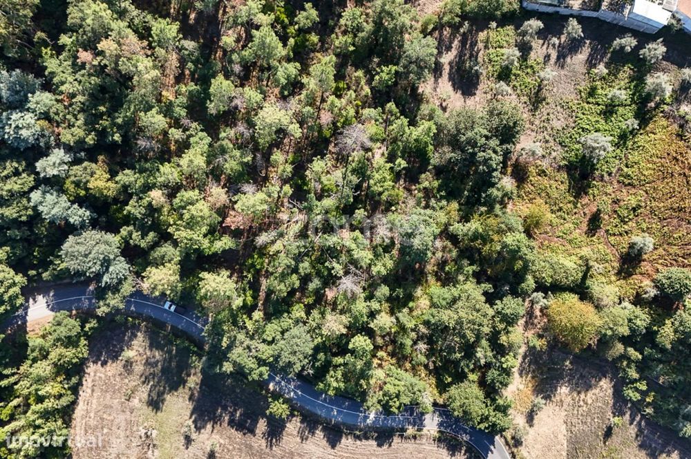 Terreno em Folques, Arganil