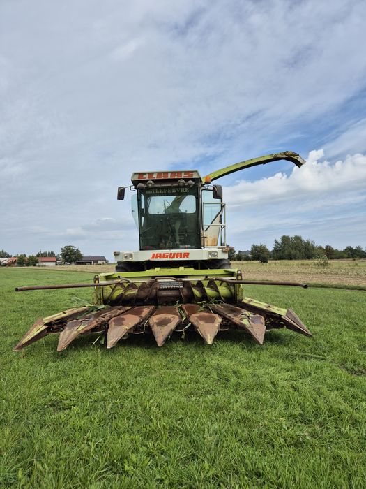 Sieczkarnia do kukurydzy Claas Jaguar 695