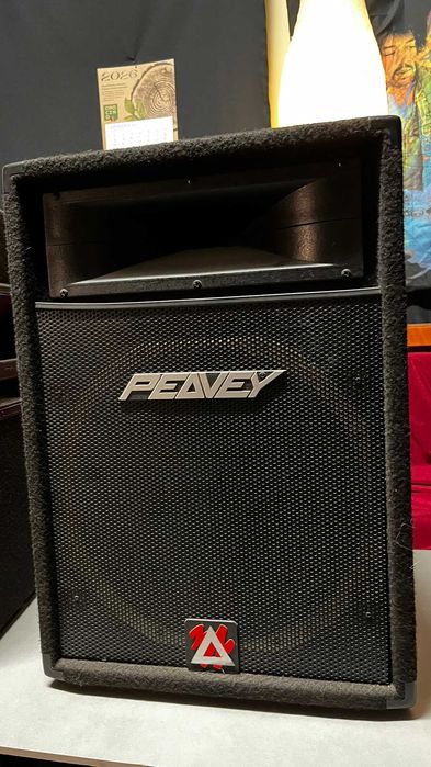 Peavey Eurosys 500 XT – 2 sztuki w cenie 1 kolumny pasywne