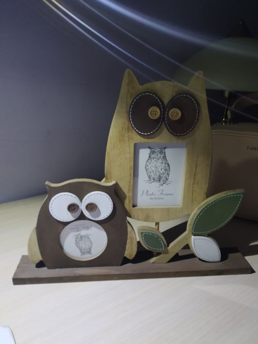Две рамки совы .