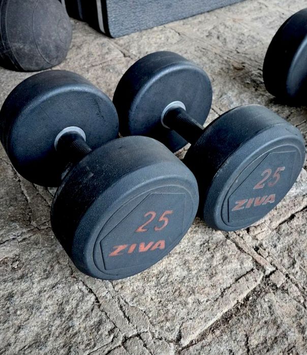 Passadeira Eléctrica Squat Bumpers Halteres
