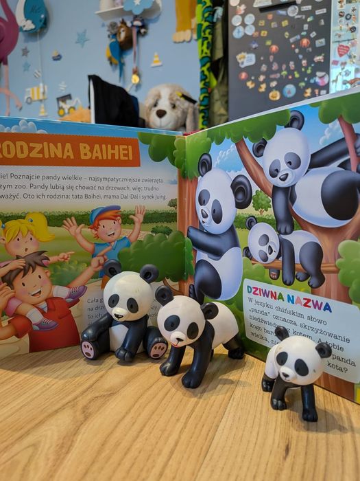 Kolekcja zwierzęta z mojego ZOO