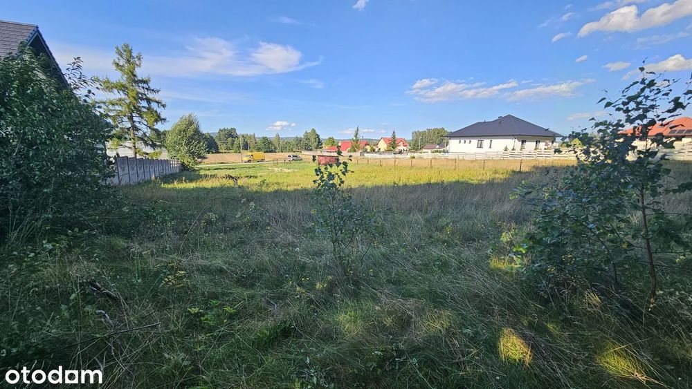 Zdjęcie 3