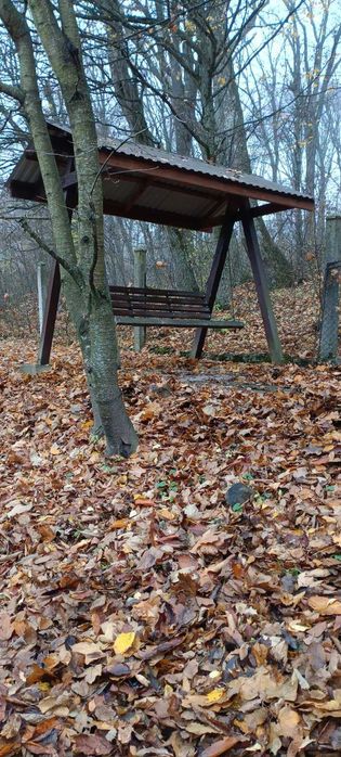 Сатанів. Здам в оренду будинок, кімнати. (Район санаторіїв).