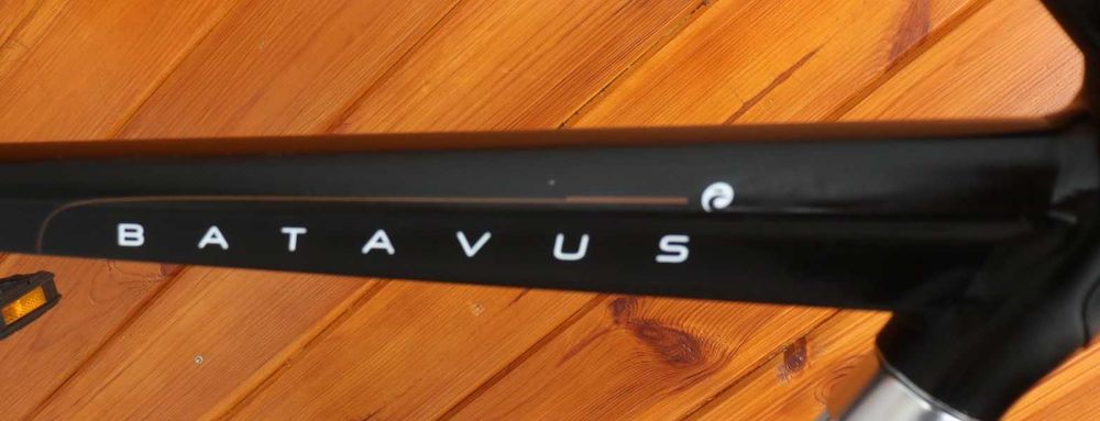 Rower męski Batavus Monaco. H 61 I inne rowery