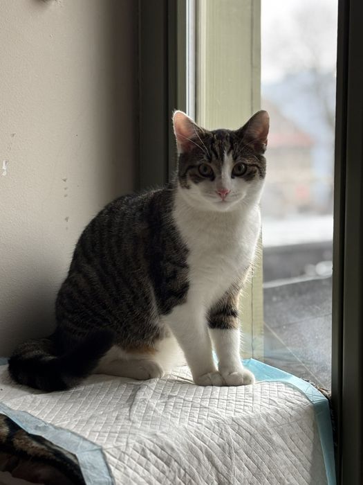 Zakochaj się w Fabio i Biance