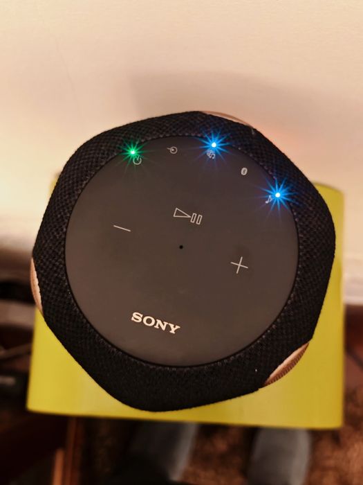Sony SRS-RA3000 – Som  360°