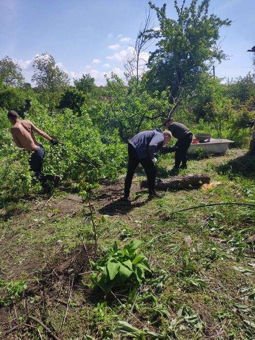 Уборка участка, территории. Демонтаж. Земляные работы. Вывоз мусора