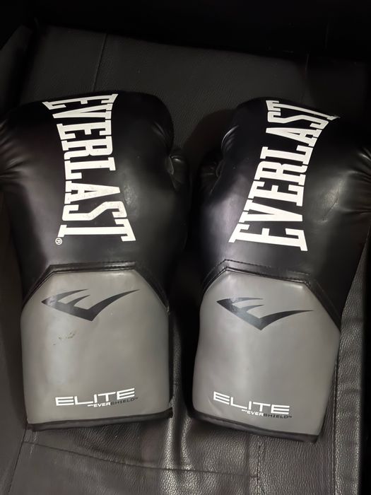 Luvas everlast 10oz